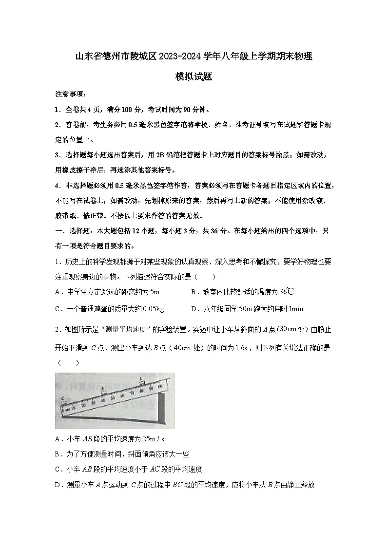 山东省德州市陵城区2023-2024学年八年级上册期末物理模拟试题（附答案）01