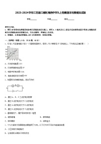 2023-2024学年江苏省江都区周西中学九上物理期末经典模拟试题含答案