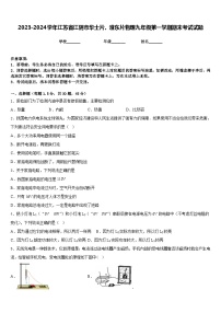 2023-2024学年江苏省江阴市华士片、澄东片物理九年级第一学期期末考试试题含答案