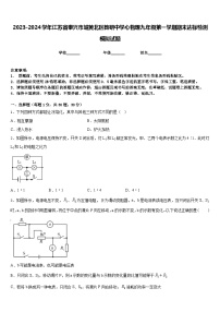 2023-2024学年江苏省泰兴市城黄北区教研中学心物理九年级第一学期期末达标检测模拟试题含答案