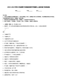 2023-2024学年江苏省泰兴市西城初级中学物理九上期末复习检测试题含答案