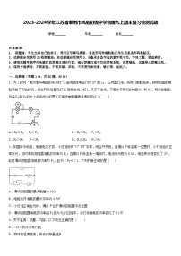 2023-2024学年江苏省泰州市凤凰初级中学物理九上期末复习检测试题含答案