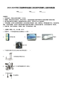 2023-2024学年江苏省泰州市高港区口岸实验学校物理九上期末经典试题含答案