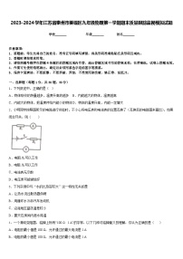 2023-2024学年江苏省泰州市姜堰区九年级物理第一学期期末质量跟踪监视模拟试题含答案