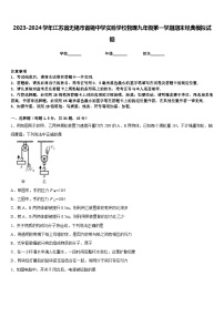 2023-2024学年江苏省无锡市省锡中学实验学校物理九年级第一学期期末经典模拟试题含答案