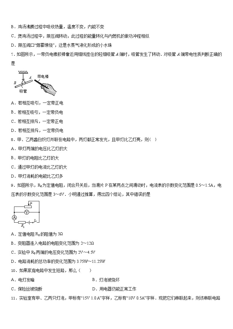 2023-2024学年江苏省无锡市阳山中学物理九年级第一学期期末学业质量监测试题含答案03