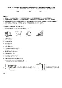 2023-2024学年江苏省灌南私立新知双语学校九上物理期末经典模拟试题含答案