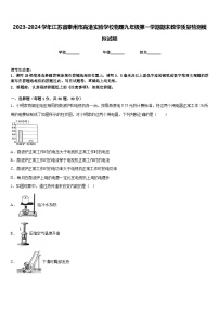 2023-2024学年江苏省泰州市高港实验学校物理九年级第一学期期末教学质量检测模拟试题含答案