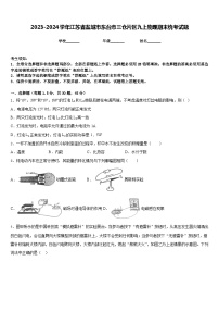 2023-2024学年江苏省盐城市东台市三仓片区九上物理期末统考试题含答案