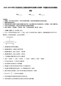 2023-2024学年江苏省苏州工业园区星澄学校物理九年级第一学期期末质量检测模拟试题含答案