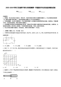 2023-2024学年江苏省阜宁县九年级物理第一学期期末学业质量监测模拟试题含答案