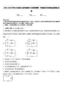 2023-2024学年江苏省连云港市赣榆区九年级物理第一学期期末质量跟踪监视模拟试题含答案