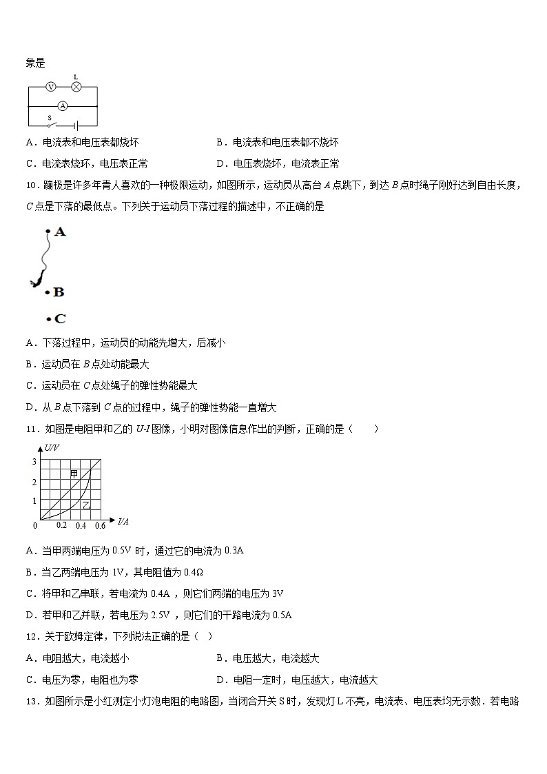 2023-2024学年江苏省连云港外国语学校九年级物理第一学期期末复习检测试题含答案第3页
