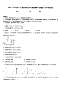 2023-2024学年江苏省苏州市区九年级物理第一学期期末复习检测试题含答案