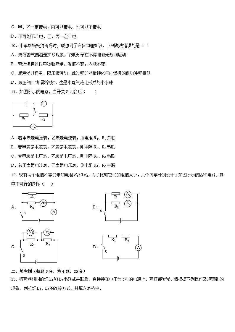 2023-2024学年江苏省苏州市区九年级物理第一学期期末复习检测试题含答案03