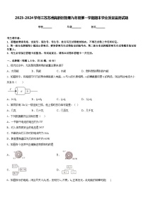 2023-2024学年江苏苏州高新区物理九年级第一学期期末学业质量监测试题含答案