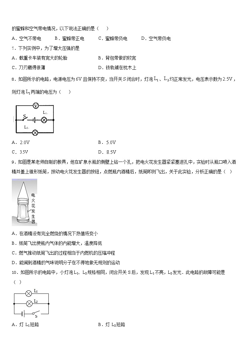 2023-2024学年江苏省苏州市园区一中学物理九年级第一学期期末复习检测试题含答案第2页