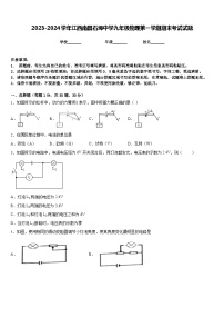 2023-2024学年江西南昌石埠中学九年级物理第一学期期末考试试题含答案