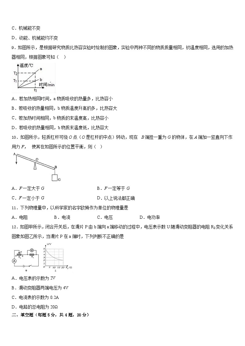 2023-2024学年江苏省苏州市张家港市梁丰中学物理九年级第一学期期末达标检测试题含答案03