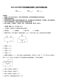 2023-2024学年江苏苏州高新区物理九上期末考试模拟试题含答案