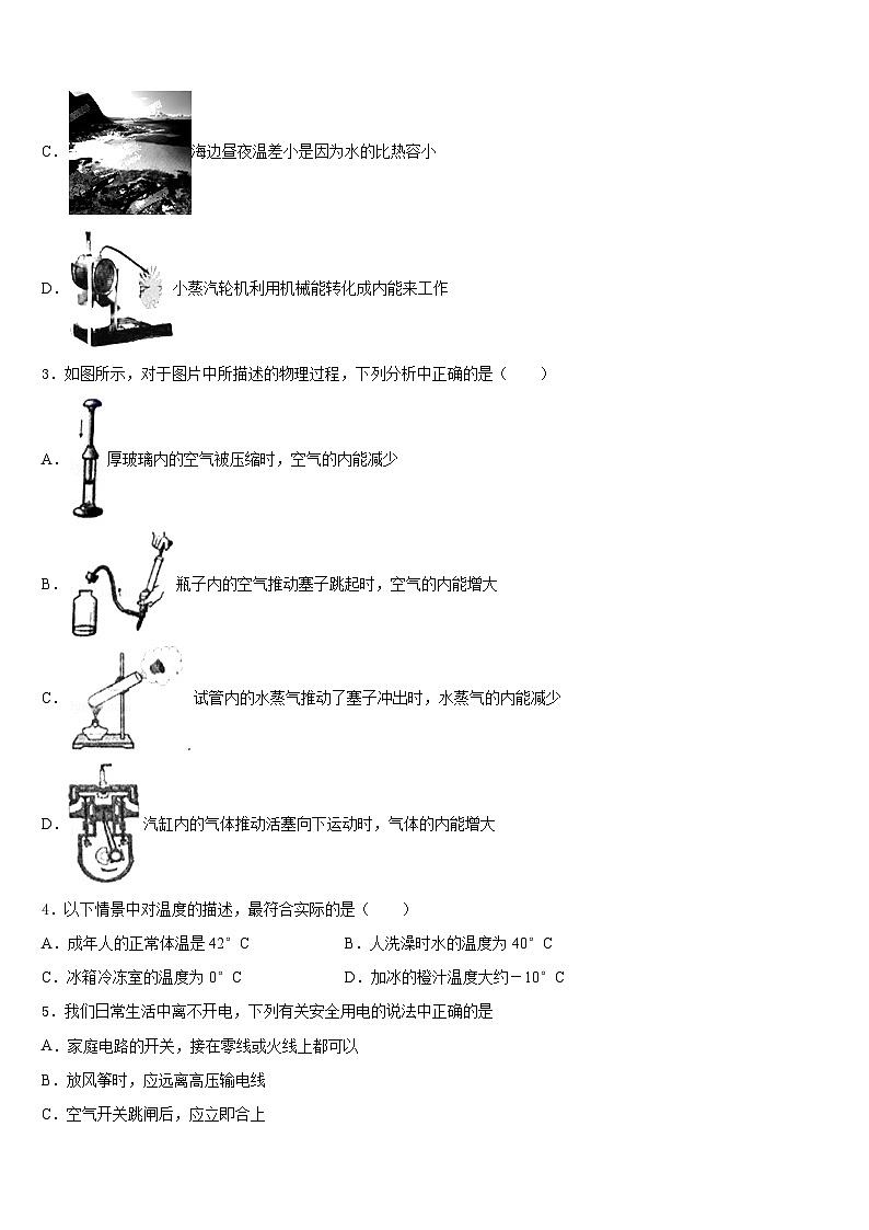 2023-2024学年江苏省泰兴市老叶初级中学九年级物理第一学期期末学业水平测试模拟试题含答案第2页