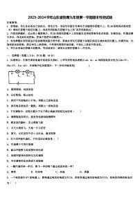 2023-2024学年山东省物理九年级第一学期期末检测试题