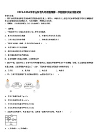 2023-2024学年山东省九年级物理第一学期期末质量检测试题