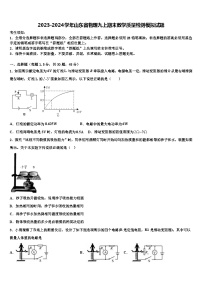 2023-2024学年山东省物理九上期末质量检测模拟试题