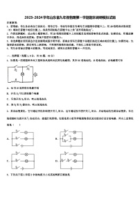 2023-2024学年山东省九年级物理第一学期期末调研模拟试题