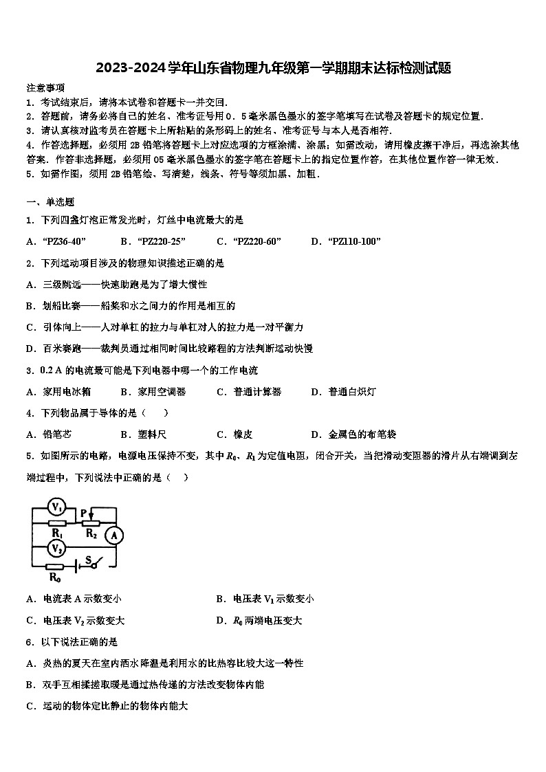 2023-2024学年山东省物理九年级第一学期期末达标检测试题01