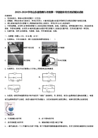 2023-2024学年山东省物理九年级第一学期期末综合测试模拟试题