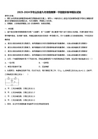 2023-2024学年山东省九年级物理第一学期期末联考模拟试题