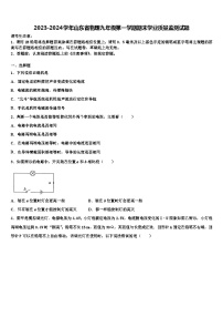 2023-2024学年山东省物理九年级第一学期期末学业质量监测试题