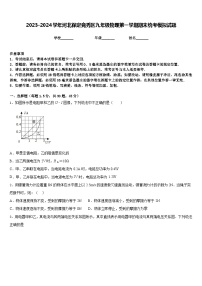 2023-2024学年河北保定竞秀区九年级物理第一学期期末统考模拟试题含答案