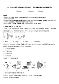 2023-2024学年河北省保定市安国市九上物理期末教学质量检测模拟试题含答案