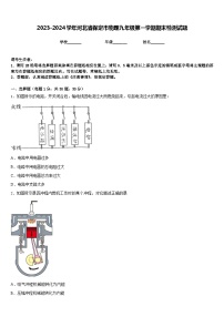2023-2024学年河北省保定市物理九年级第一学期期末检测试题含答案