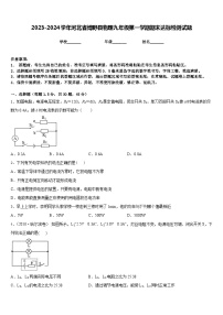 2023-2024学年河北省博野县物理九年级第一学期期末达标检测试题含答案