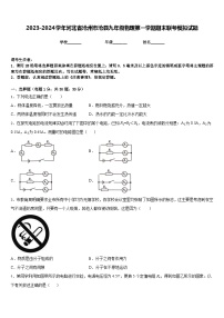 2023-2024学年河北省沧州市沧县九年级物理第一学期期末联考模拟试题含答案