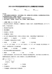 2023-2024学年河北省沧州市任丘市九上物理期末复习检测试题含答案