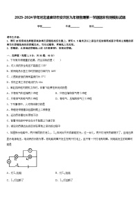 2023-2024学年河北省廊坊市安次区九年级物理第一学期期末检测模拟试题含答案