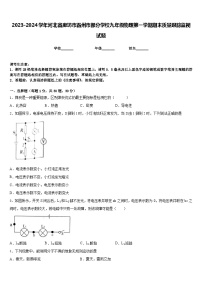 2023-2024学年河北省廊坊市霸州市部分学校九年级物理第一学期期末质量跟踪监视试题含答案