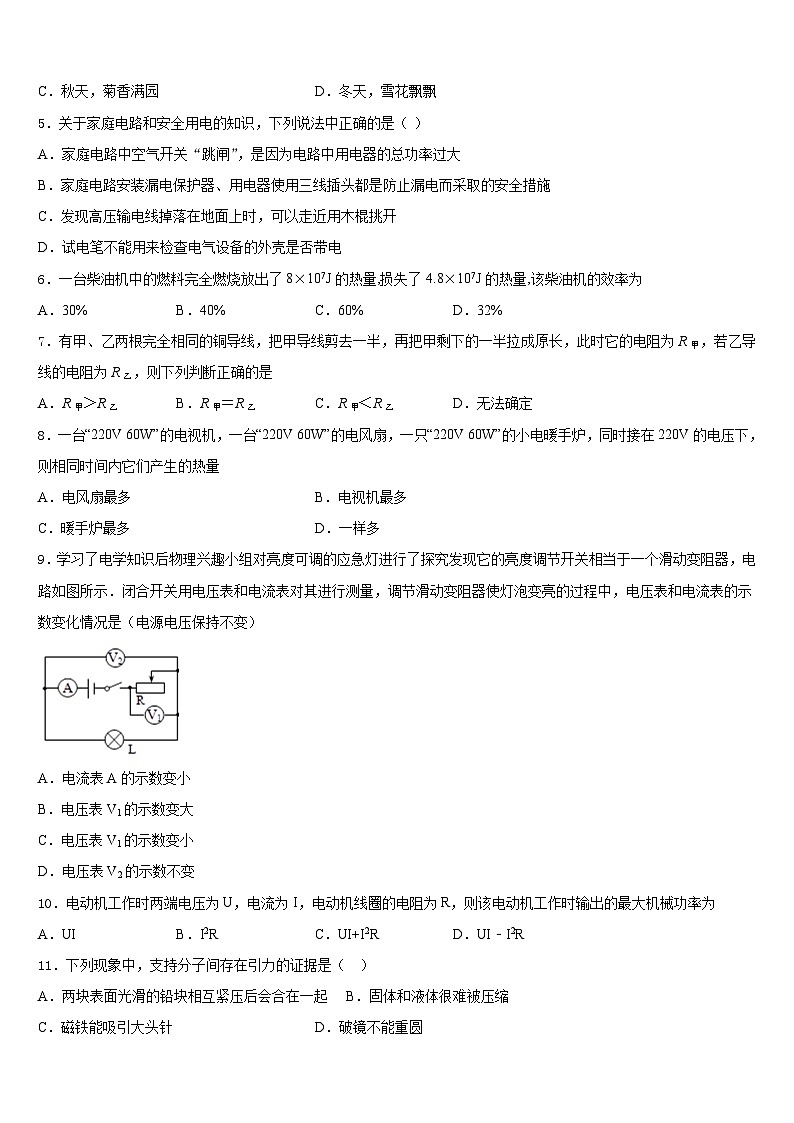 2023-2024学年河北省廊坊市霸州市部分学校九年级物理第一学期期末质量跟踪监视试题含答案02