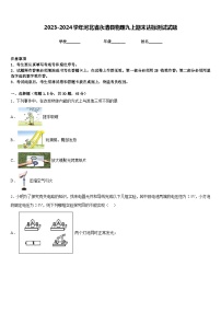 2023-2024学年河北省永清县物理九上期末达标测试试题含答案