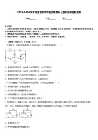 2023-2024学年河北省廊坊市名校物理九上期末统考模拟试题含答案