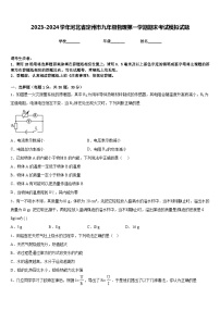 2023-2024学年河北省定州市九年级物理第一学期期末考试模拟试题含答案