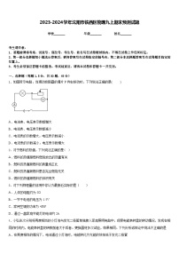 2023-2024学年沈阳市铁西区物理九上期末预测试题含答案