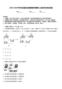 2023-2024学年河北省唐山滦南县联考物理九上期末综合测试试题含答案