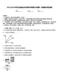 2023-2024学年河北省唐山市林西中学物理九年级第一学期期末预测试题含答案