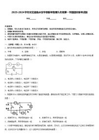 2023-2024学年河北省衡水安平县联考物理九年级第一学期期末联考试题含答案