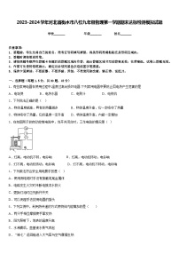 2023-2024学年河北省衡水市八校九年级物理第一学期期末达标检测模拟试题含答案